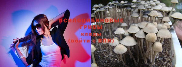 a pvp Беломорск