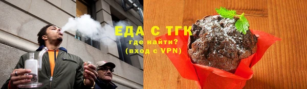 индика Белокуриха