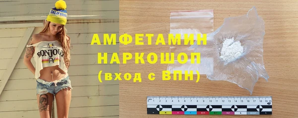 индика Белокуриха