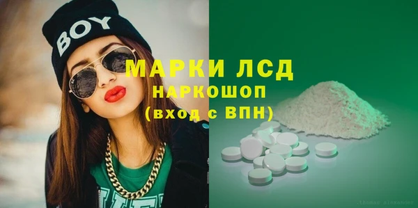 индика Белокуриха
