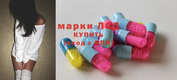 индика Белокуриха