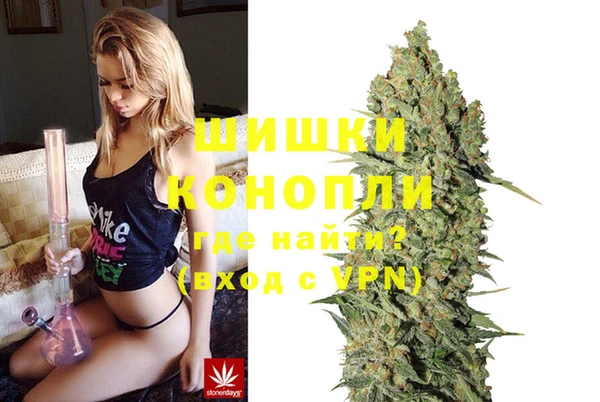 индика Белокуриха