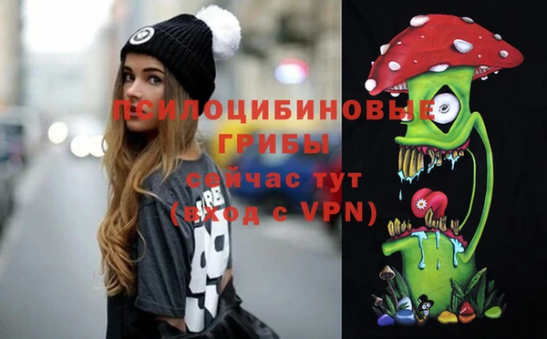 индика Белокуриха