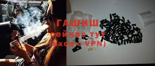 индика Белокуриха